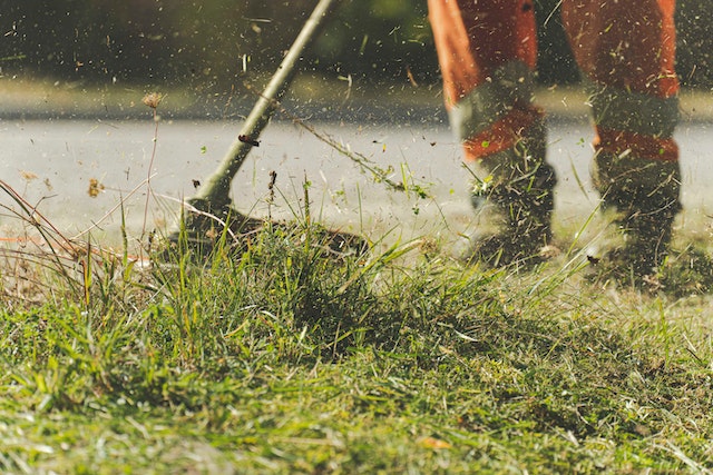 Lawn Mowing